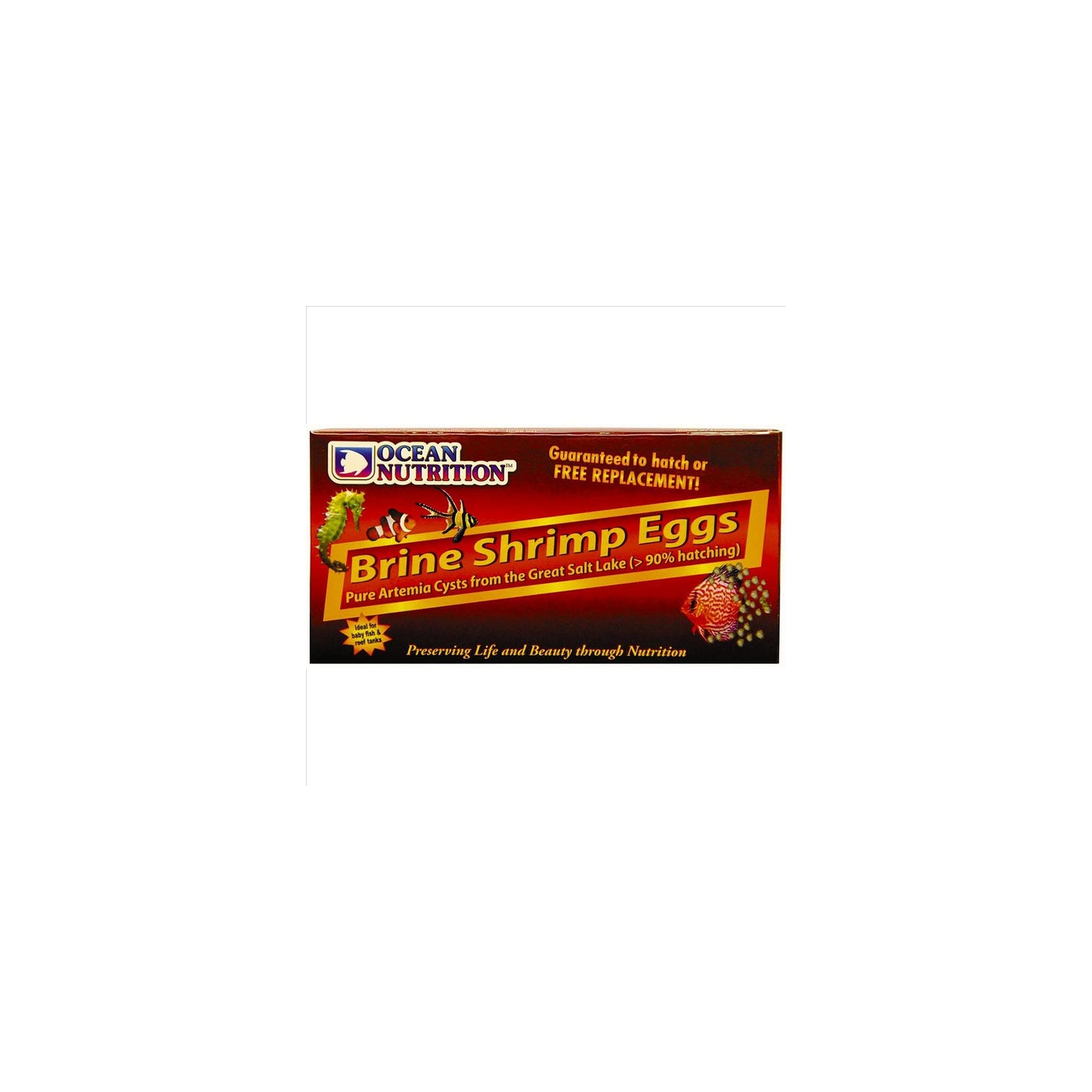Brine Shrimp Eggs 20g