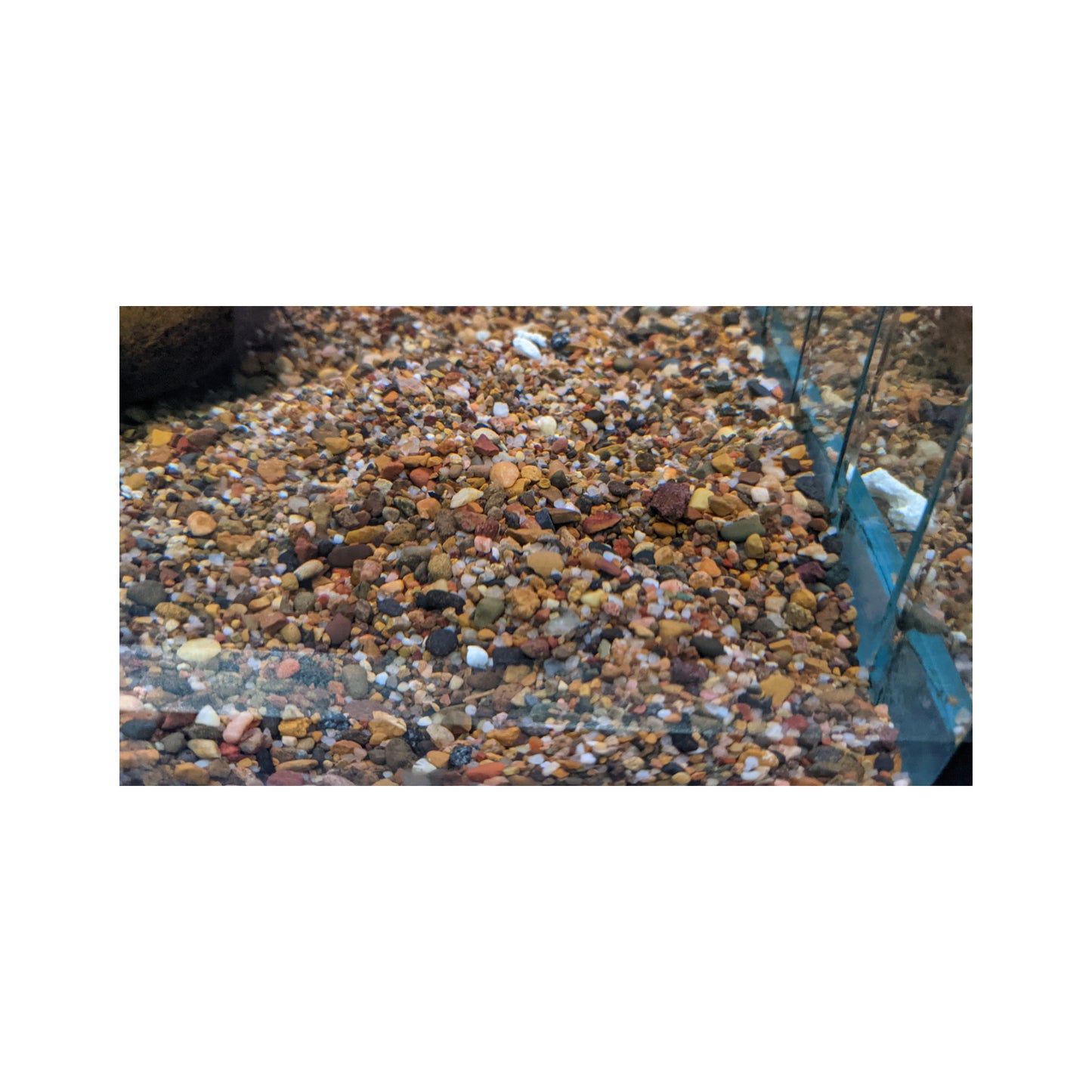 Aps - Brown Gravel Premium 2kg