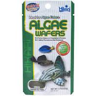 Food Hikari Algae Wafers 250g