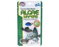 Food Hikari Algae Wafers 20g