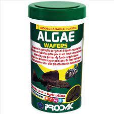 Food - Prodac Algae Wafers 50g