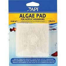 API - Algae Pad Hand Held (acrylic)