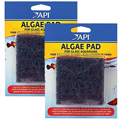 API - Algae Pad For Glass Aph204