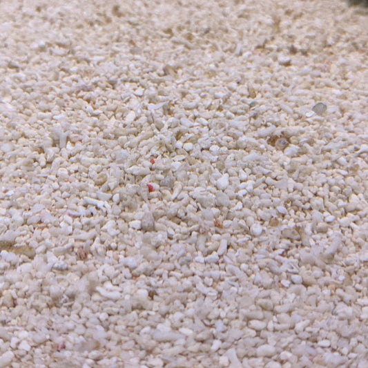 Marine Sand - Coral Sand 5kg
