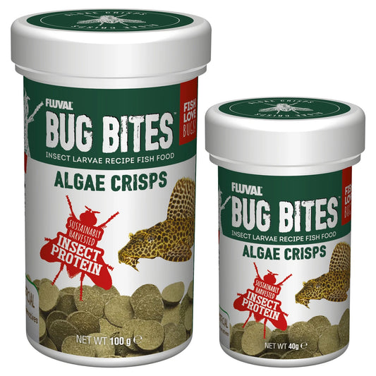 Food - Bug Bites Algae 40g
