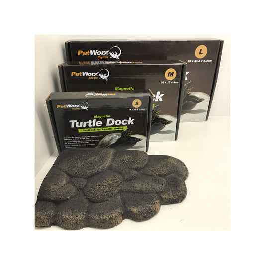 Magnetic Turtle Dock - Small