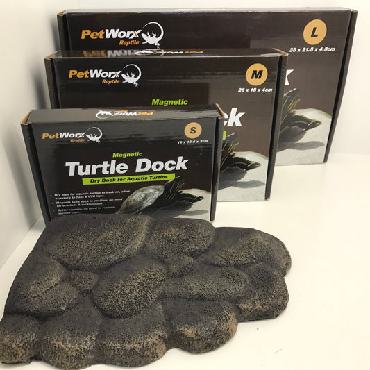 Magnetic Turtle Dock - Medium