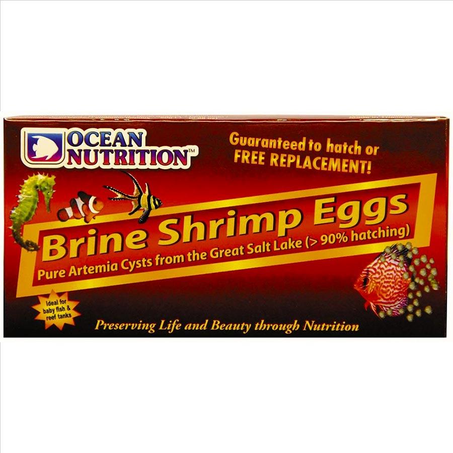 Brine Shrimp Eggs 20g