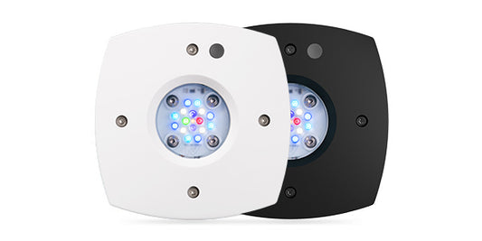 AI Prime 16HD FreshWater