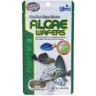 Food Hikari Algae Wafers 40g