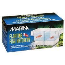 Container 2in1 Fish Hatchery