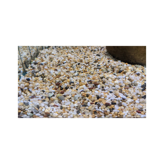 APS - Coffs Gold 5kg