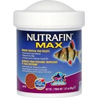 Food - NFM Medium Trop Pellet 40g