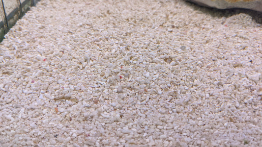 Marine Sand - Coral Sand 5kg
