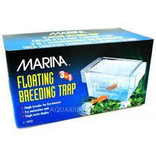 Container Marina Guppy Breeding Tank 3in